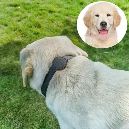 首輪 ペット用 犬用 猫用 AirTagケース付き ベルトタイプ エアタグケース付き レザー調 迷子防止 紛失防止 軽量 無地 シンプル かわいい イ