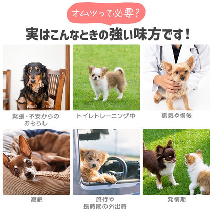 <a href="https://www.qoo10.jp/gmkt.inc/Search/brand.aspx?brandno=49458" target="_blank" class="title_brand" id="btn_brand" title="アイリスオーヤマ">アイリスオーヤマ</a>【公式】6袋まとめ買い／ ペットオムツ 最大4回分吸収 超小型犬 中型犬 ペット用 紙おむつ 猫 介護 粗相 生理 マナー PitaFit NPD * 送料無料