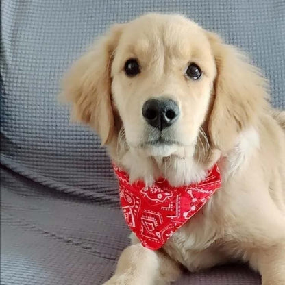 新作セール調整可能 エプロン かわいい スタイ ドッグウェア かわいい 大型犬 よだれかけ スカーフ バンダナ 中型犬 おしゃれ 犬服 ペット アクセサリー 小型犬 犬の服 誕生日用 コスプレ 仮装
