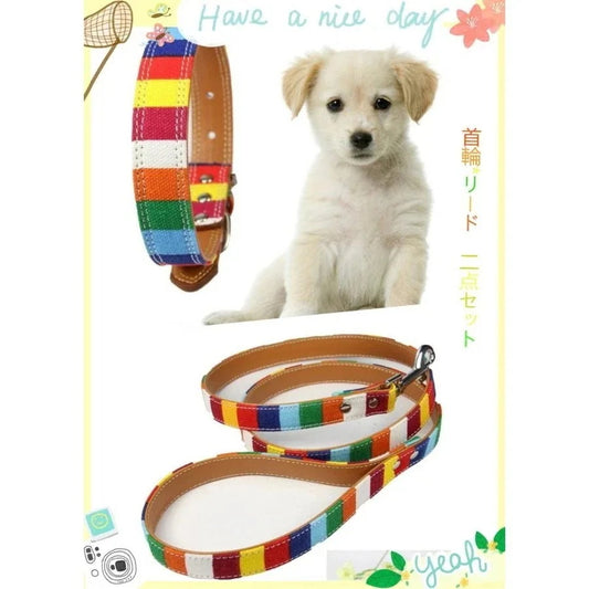 選べる福袋2025-犬用 首輪 ペットリード ２点セット 帆布七つ色 帆布＋レザー メール便対応