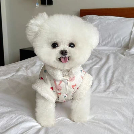 春と秋の犬服テディボーミペットのコキシナレビーベア秋 厚手 暖かい