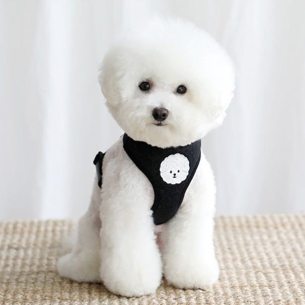 韓国版の中で小型の犬のテディは熊のコーキに比べて外出して犬を散歩します