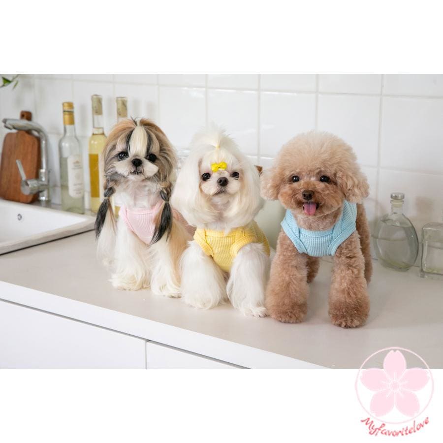 超目玉新品 ペット 服 安い 犬 春 夏 秋 くま ちゃん 柄 タンクトップ かわいい 可愛い ハイブランド 猫 ドッグウェア
