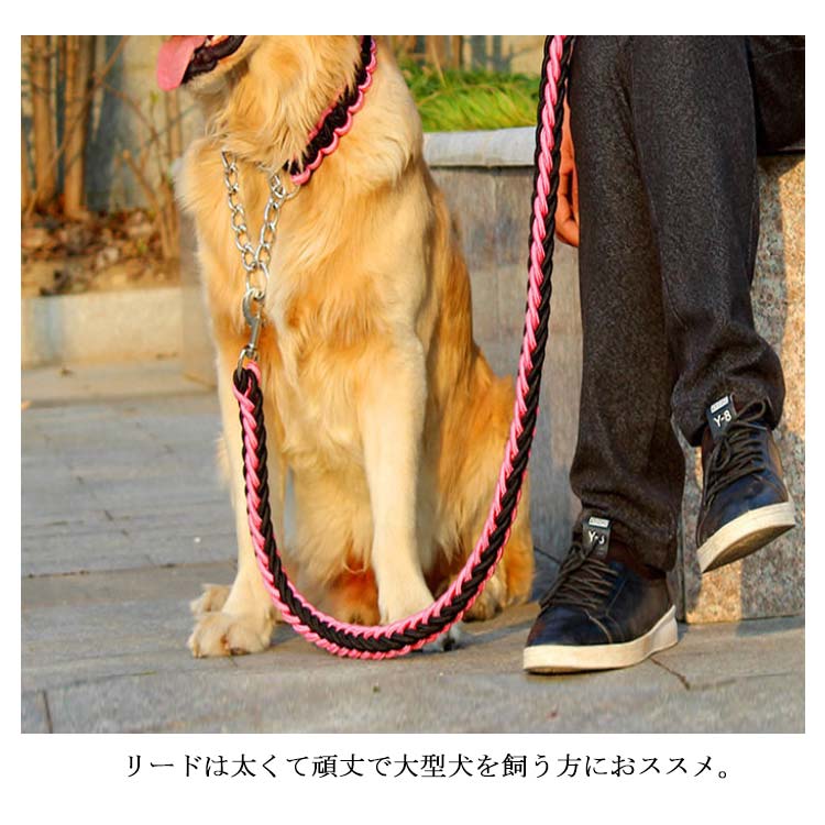 リード 首輪 2点セット 犬 首輪セット リードセット 小型犬 中型犬 大型犬 太く 頑丈 犬用リード 散歩 お出かけ しつけ ペット 極太 編み紐 噛み癖 防止 ドッググッズ ペット用 お