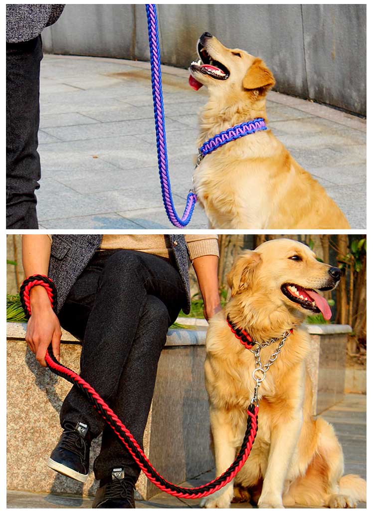 メガ割2025福袋-リードと首輪セット 犬 ドッグ リード 首輪 2点セット ドック用品 犬用 首輪 リード リードセッ837910