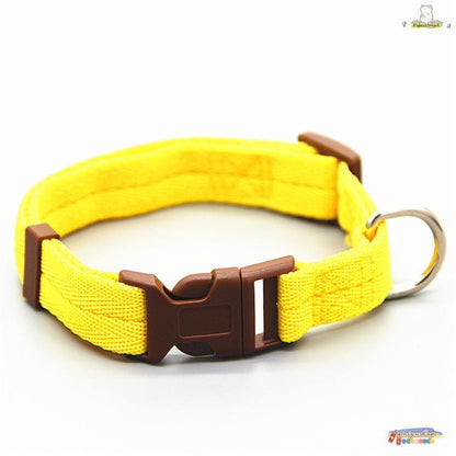 [高品質]首輪 犬用 小型犬 中型犬 大型犬 猫用 ペット用品 ペットグッズ 単品 柄入り サイズ調節可能 着脱簡単 シンプル おしゃれ かわいい お出かけ