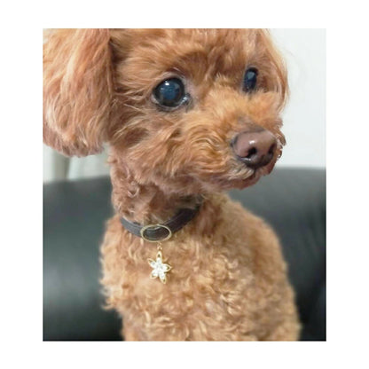 <a href="https://www.qoo10.jp/gmkt.inc/Search/brand.aspx?brandno=121124" target="_blank" class="title_brand" id="btn_brand" title="MELODY ACCESSORY">MELODY ACCESSORY</a>犬用 ネックレス 首輪 チョーカー ドッグアクセサリー 日本製 フラワー 鍵 りぼん リボン 送料無料 調節可能 犬 いぬ ねこ 猫 ペット シンプル 小型犬 中型犬 かわ