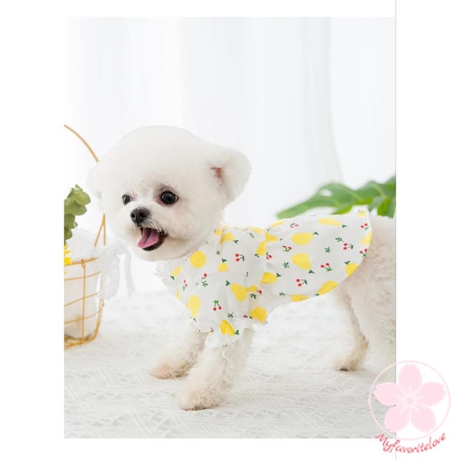 品質いいな新品 犬服 夏服 春夏 春 春服 夏 犬の服 ペット 猫 犬用品 犬用 ドッグウェア シャツ女の子可愛いかわいいオシャレ