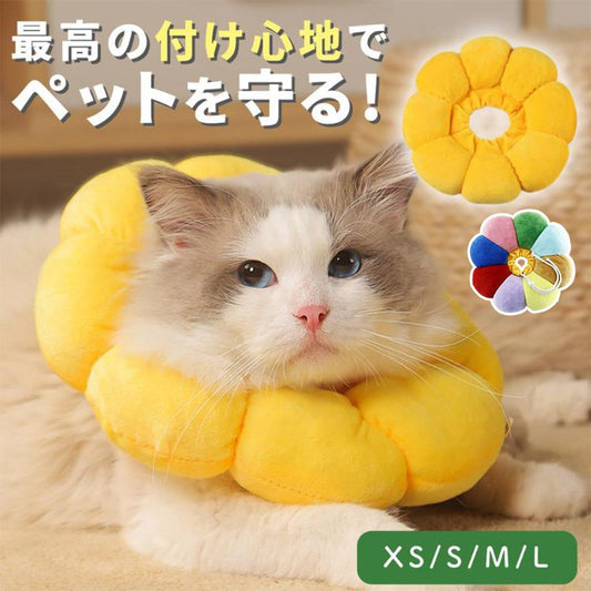 術後服 嫌がる 犬用カラー ペット用ソフトエリザベスカラー 猫 おしゃれ ソフト 犬 エリザベスカラー カラフル