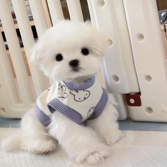 春と夏薄型犬ペット服小型犬テディマルチーズ抗脱毛カラーブロックベスト
