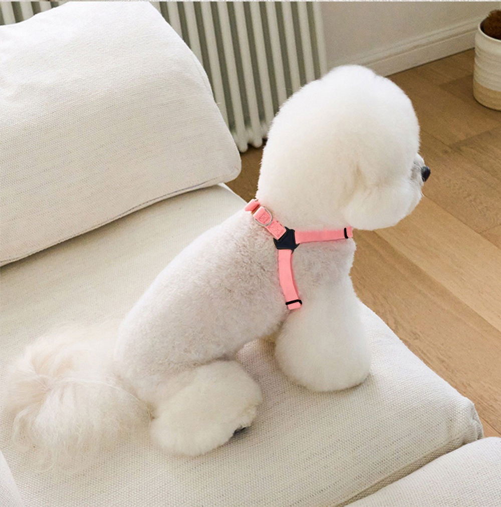 ベストかわいいペットを連れて外出します メガ割ワンピースパンツトートバッグ