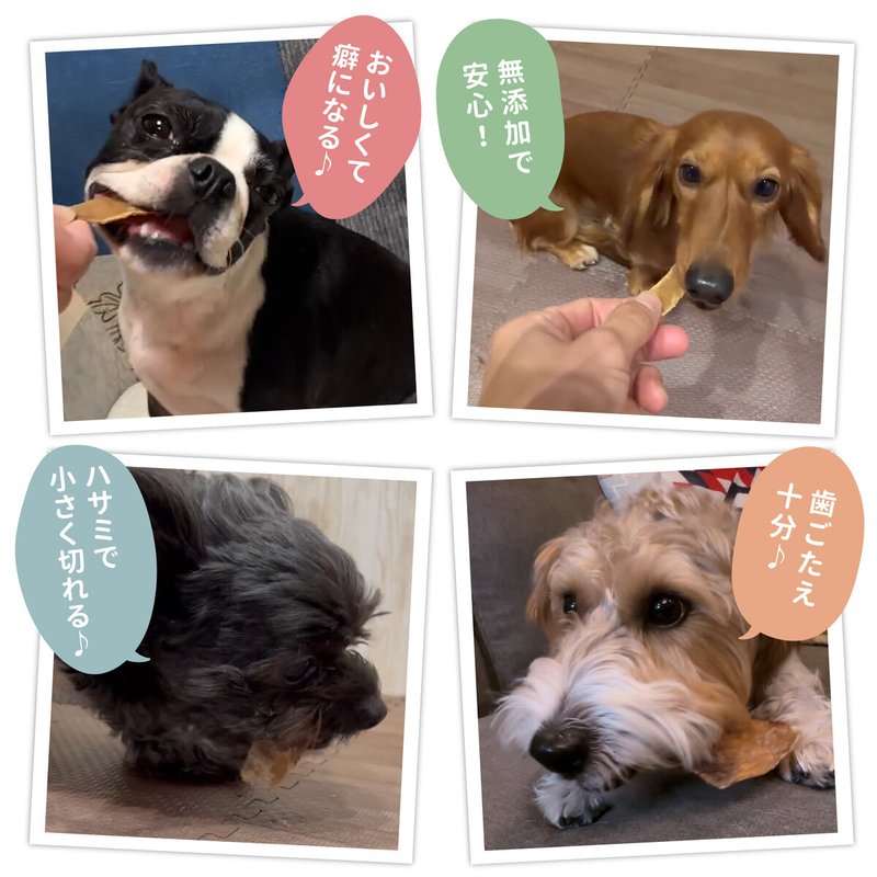 牛タン皮480ｇ国産 スリーアローズ ドッグフード ペットフード 大容量 クセになる食感 コラーゲン 肌 毛 健康維持 コストコ