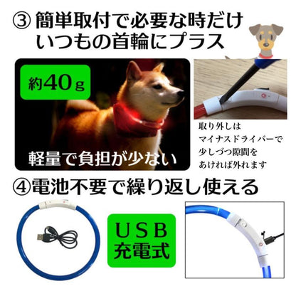 光る首輪 犬用 充電式 レインボー 小型犬 おしゃれ 新入荷 猫 犬 LEDライト ペット 中型犬