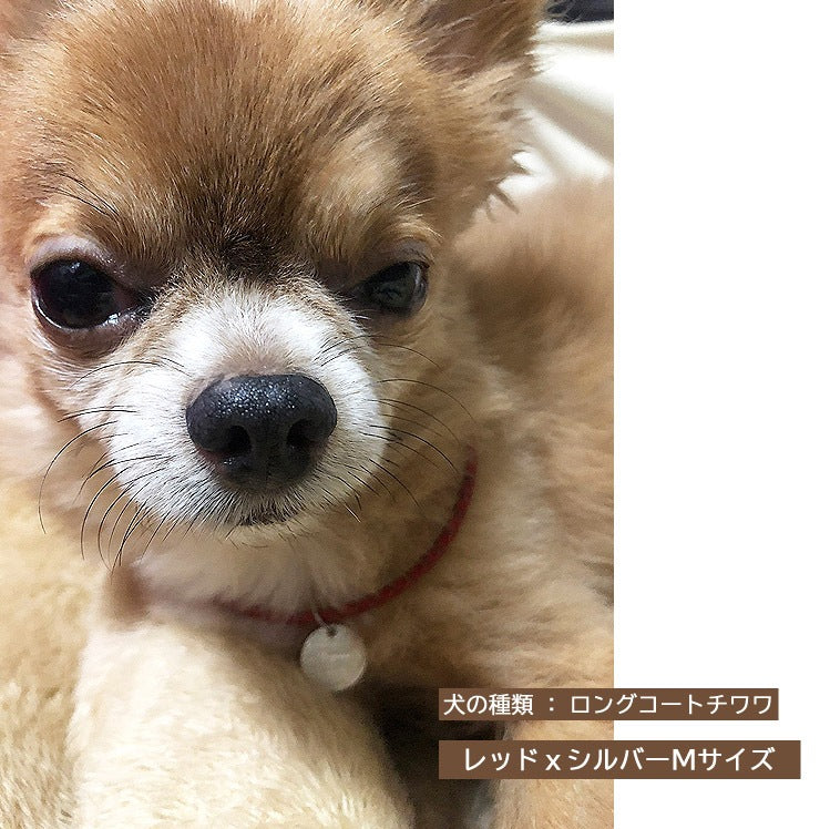 ハンドメイドオーダーメイド商品犬 首輪 おしゃれ 中型犬 小型犬 本革 かわいい 犬首輪 犬の首輪