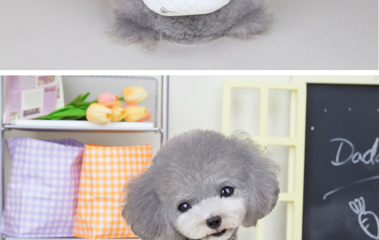 猫 犬 洋服 犬服 ペット服 大中小型犬 ペット用品 犬/猫用 犬の服 ペットウエア 小型犬 中型犬 通気 可愛い ドッグウェア トレーナー 犬 服 ワンピース サロペット ビションフリーゼ 犬猫服