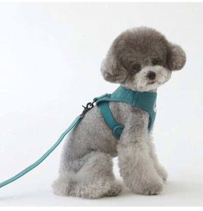 韓国版の中で小型の犬のテディは熊のコーキに比べて外出して犬を散歩します