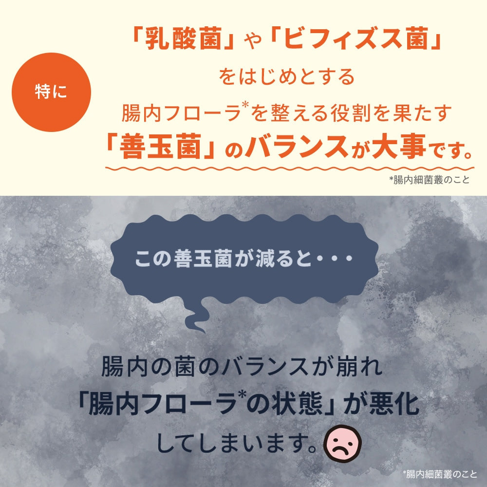 <a href="https://www.qoo10.jp/gmkt.inc/Search/brand.aspx?brandno=62316" target="_blank" class="title_brand" id="btn_brand" title="大正製薬">大正製薬</a>【公式】大正製薬 わんビオフェルミンS 40g 2袋 犬 サプリ サプリメント 腸活 免疫力 健康維持 ビフィズス菌 乳酸菌 犬サプリ イヌ 犬用 ペット 腸活サプリ 無添加 ふりかけ 粉 腸内環境