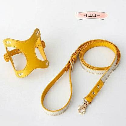 今年の新品 上品カラーで高見え 防水 ハーネス＆リード ハーネスリード ハーネスリードセット 胴輪 ハーネス リード 犬 イヌ ドッグ dog 小型犬 犬用 ペット用 犬具 胴輪 散歩 出かけ 簡単上