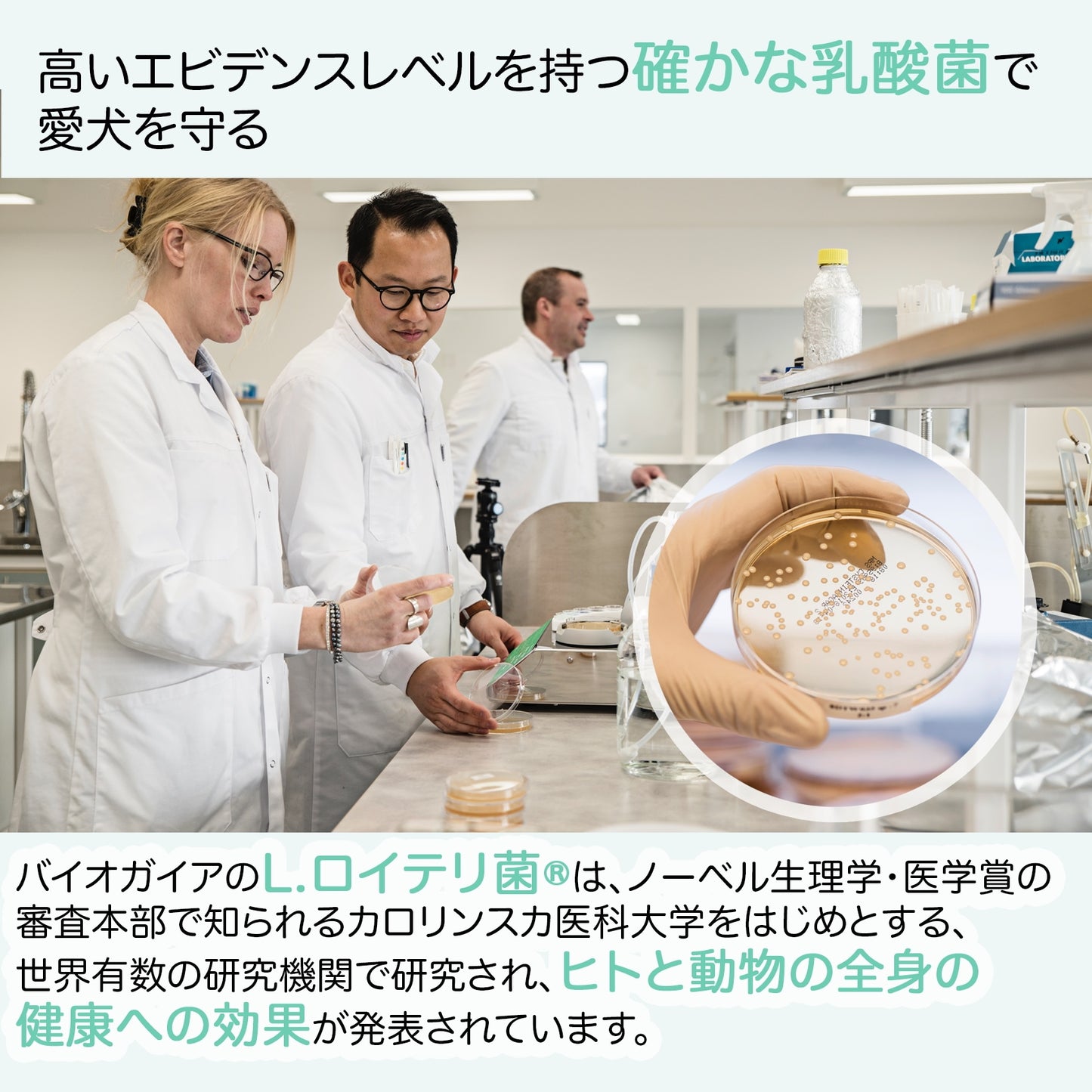 <a href="https://www.qoo10.jp/gmkt.inc/Search/brand.aspx?brandno=112140" target="_blank" class="title_brand" id="btn_brand" title="BioGaia">BioGaia</a>【公式ストア 即日発送】ワンズ Wans 10ml（犬用）ペット用　口臭対策　乳酸菌　ロイテリ菌 マルチプロバイオティックス