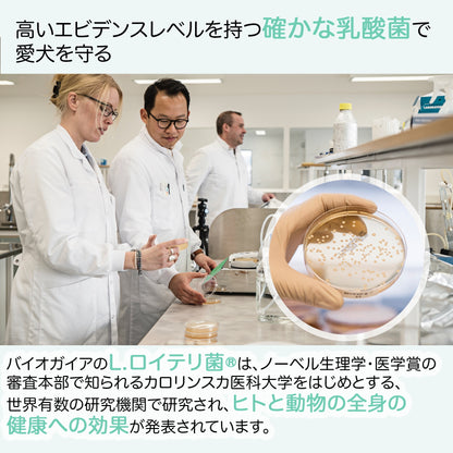 <a href="https://www.qoo10.jp/gmkt.inc/Search/brand.aspx?brandno=112140" target="_blank" class="title_brand" id="btn_brand" title="BioGaia">BioGaia</a>【公式ストア 即日発送】ワンズ Wans 10ml（犬用）ペット用　口臭対策　乳酸菌　ロイテリ菌 マルチプロバイオティックス