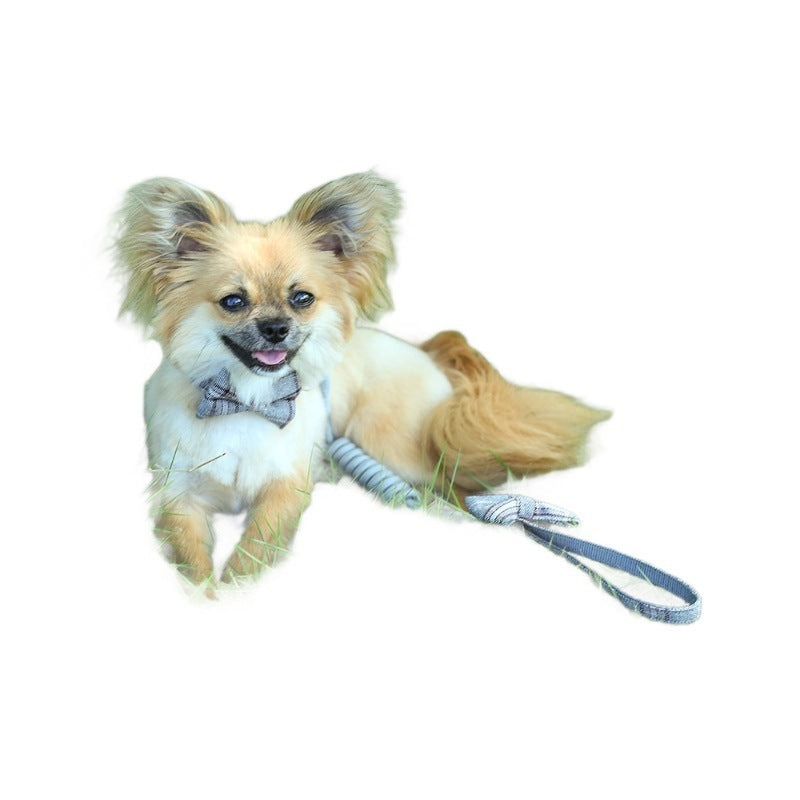 リード 中型犬 猫用 簡単装着 小型犬 160 ネコ用ハーネス 犬用 犬 2点セット シンプル ハーネスリードセット 犬用ハーネス ペット用品 ハーネス 胴輪 おしゃれ ペットハーネス 軽量 リーシュ