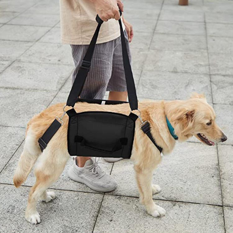 全身ハーネス 歩行補助 介護 イヌ 老犬介護 中型犬 犬 立ち上がり 介護用品 歩行補助ハーネス 介護用 老犬介護ハーネス シニア犬 歩行 補助 足腰 ハーネス 老犬 介護用ハーネス 補助ハーネ