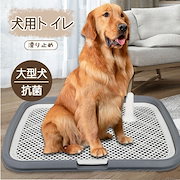 大人気！ 首輪 セーフティバックル ペット ペット用品 猫 猫用 猫の首輪 和柄 和風 鈴 鈴付き チャーム付き ちりんちりん かわいい オシャレ 招き猫 サイズ調節可能 クッション入り 痛くない