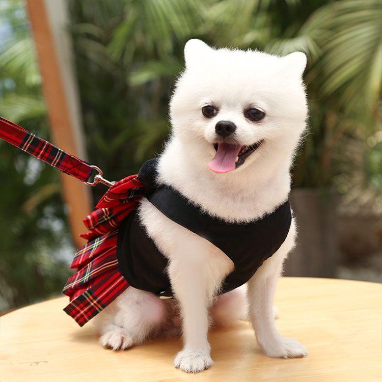 新商品プロモーション，数量限定 品犬 ハーネス リード ２点セット ペット用品 猫用 小型犬用 かわいい 姫様 ワンピース風 全２色 リード長さ120cmリード幅2cm XS ( 06-12kg品犬