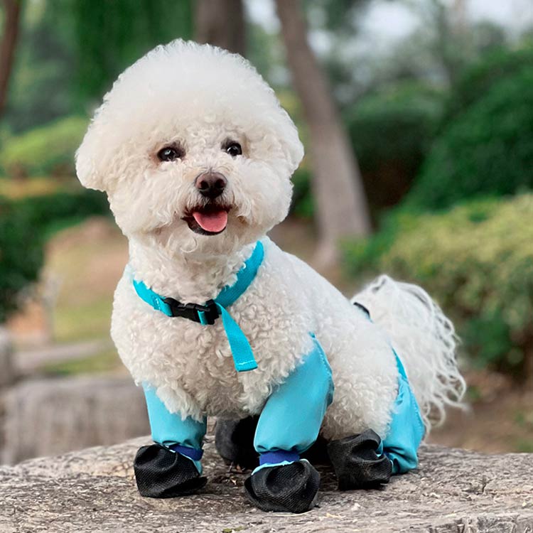タイムセールスペンダー付き犬用パンツ 調節 脱げない 汚れ防止 滑り止め レギンス レインパンツ サスペンダー付き 犬服 防水 屋外四本足パンツ 肉球保護 梅雨 犬用ブーツ 犬用レッグカバー 調節可能