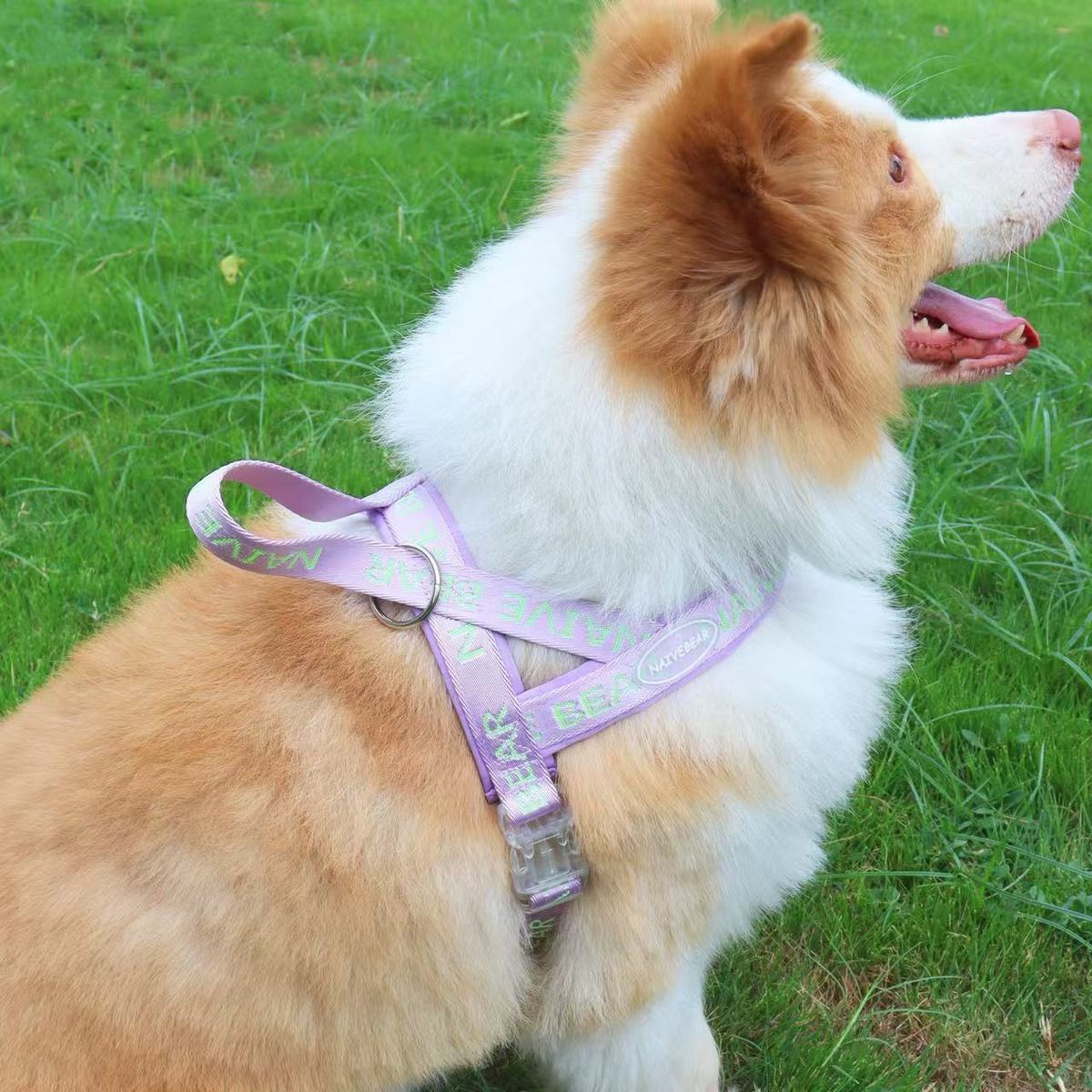 犬牽引ロープベストサドルペット防爆ペット犬ストラップ中小型熊テディコーキ外出通用 メガ割ワンピースパンツトートバッグ