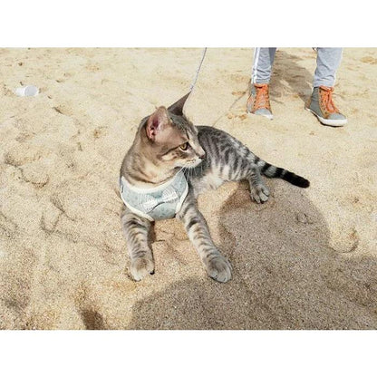 新商品プロモーション，数量限定 犬 猫 ハーネス リード ペット リーフ 葉 デザイン 服 ウェアハーネス 胴輪 キャット ドッグ犬 猫