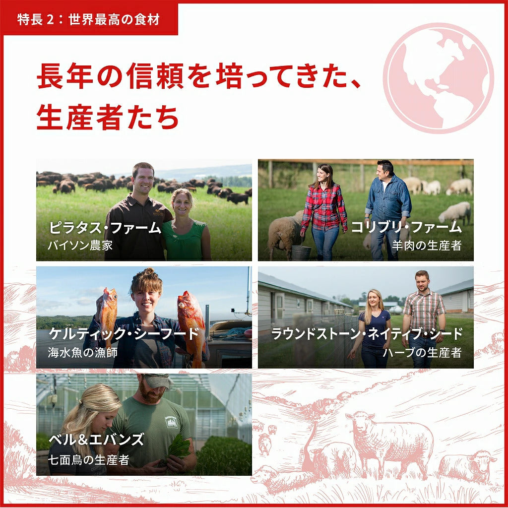 <a href="https://www.qoo10.jp/gmkt.inc/Search/brand.aspx?brandno=123886" target="_blank" class="title_brand" id="btn_brand" title="ACANA(PET)">ACANA(PET)</a>【アウトレット　賞味期限印字不良】アカナ ライト＆フィットレシピ　2kg【ドッグフード】【正規品】