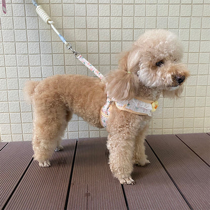 犬の牽引紐レースの胸の帯のテディ比熊の小型犬の牽引犬の縄は犬のひもの犬のチェーンを散歩します