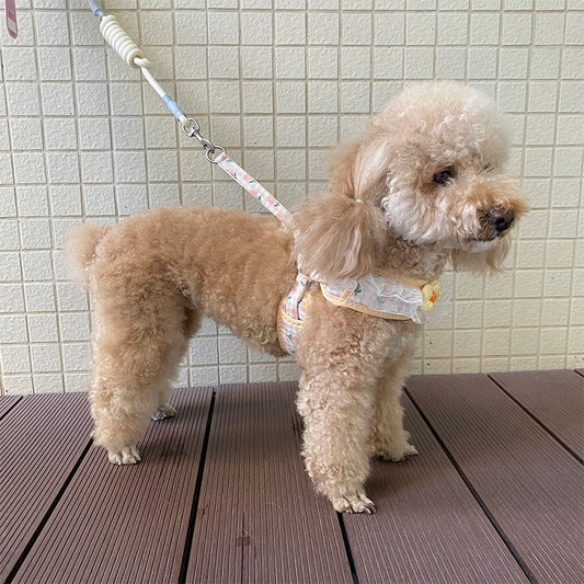 犬の牽引紐レースの胸の帯のテディ比熊の小型犬の牽引犬の縄は犬のひもの犬のチェーンを散歩します