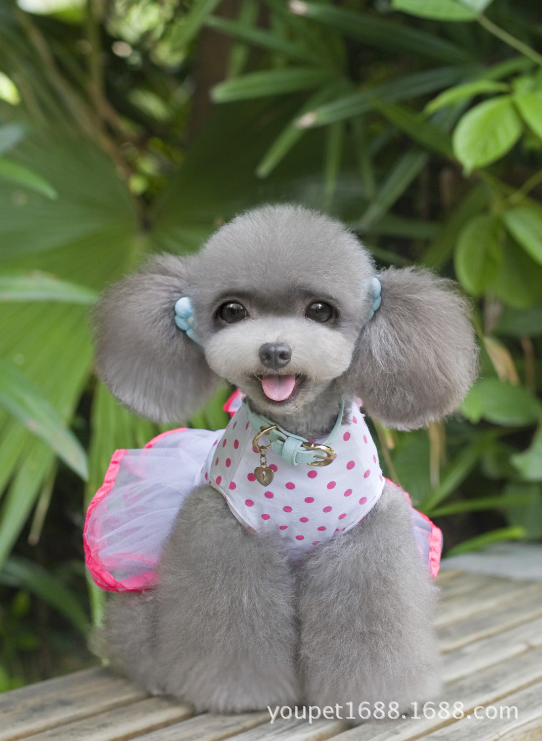 猫 犬 洋服 犬服 ペット服 大中小型犬 ペット用品 犬/猫用 犬の服 ペットウエア 小型犬 中型犬 通気 可愛い ドッグウェア トレーナー 犬 服 ワンピース サロペット ビションフリーゼ 犬猫服