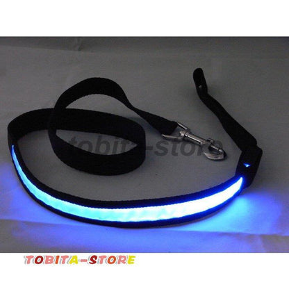 リード 牽引紐 散歩紐 光る LEDライト ペット用品 犬用 猫 電池式 お散歩グッズ 夜の散歩 夜道 夜間 安全対策 イヌ ドッグ