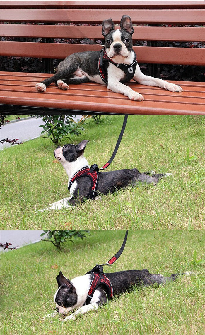 ハーネス ドッグ ウェアハーネス ペット キャット 引っ張っても痛くない 胴輪 服 犬