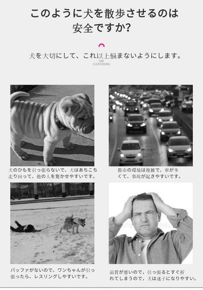沸騰新柄追加 ペット用品 犬用品 巻き取りリード伸縮リード 補助リード フレキシ あったら 多用途 手離し予防リード ストラップ ひったくり防止にも 簡単取り付け 伸縮リード 犬用 ニューコンフォート