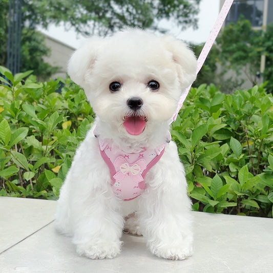ペットペット牽引紐犬猫オリジナル高颜値ペット胸背小型犬胸帯 メガ割ワンピースパンツトートバッグ