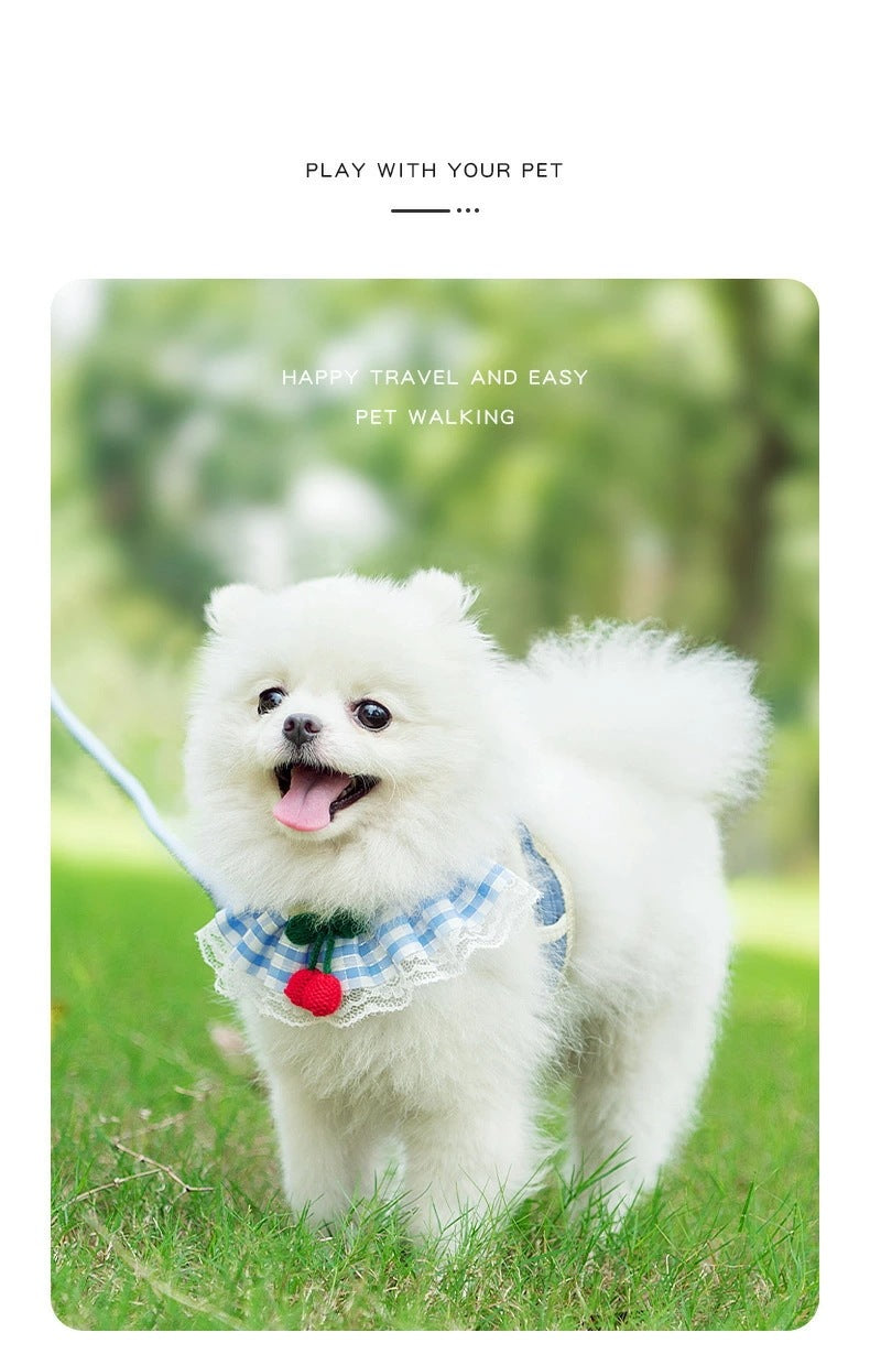 超人気 2025新作 リード ハーネス 猫 犬 キャット ペット用 小型犬 チェーン 子犬 チェリー 安心散歩 おしゃれ かわいい 脱げない 愛犬 リード ペット 散歩 補助 ピンク ブルー イエロー