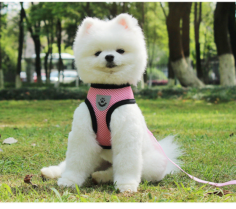 犬 ハーネス 犬用 リード いぬ ウェアハーネス 胴輪 ネコ ペット リード ドック メッシュ 外れ