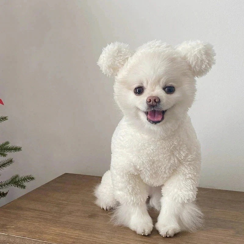 メガ割 3日で出荷新作 の犬服 テディボーミペットのコキシナレビーベア 暖かい可愛らしい 暖かい野球服 アウター