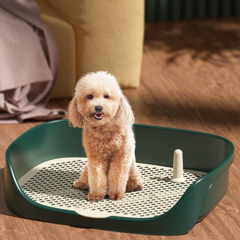 犬トイレ 犬トイレトレー ワイド しつけ 清潔 ほとばしり防止 リムーバブル 犬用トイレ ペット用 小型犬 トレーニングトイレ