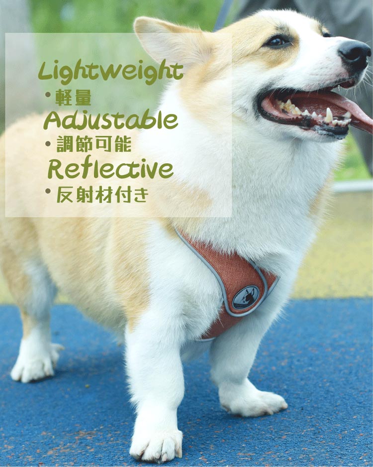 犬 ハーネス 負担軽減 胴輪 小型犬 中型犬 老犬 リード付き 犬具 リードセット 散歩 お出かけ