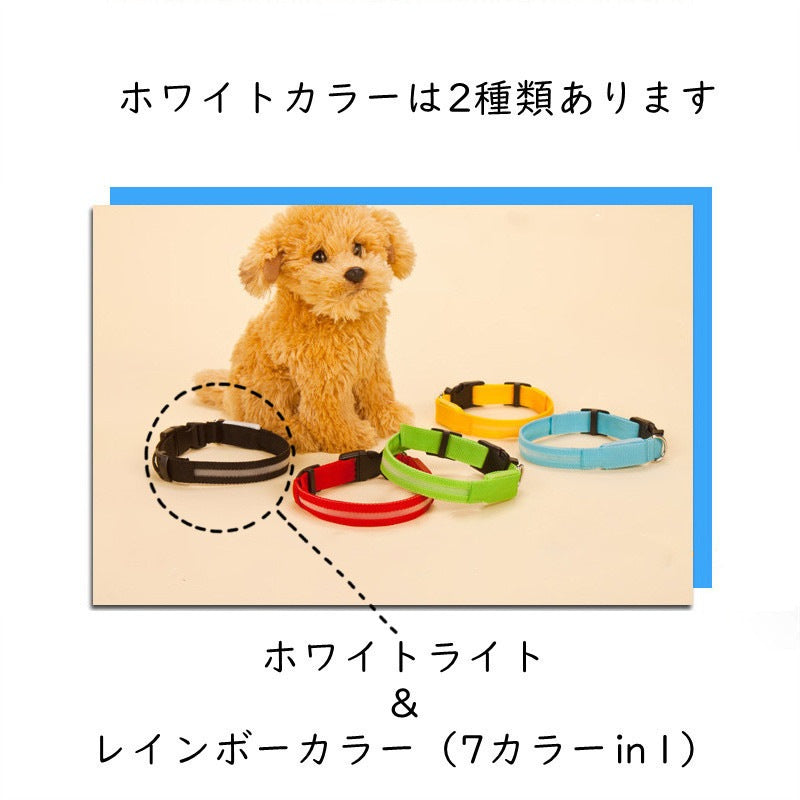 犬 首輪 光る LED キラキラ 光るバンド S/M/L 首バンド 夜間 散歩 夜 ペット リード ジョギング ウォーキング きらきらバンド 安全ライト 防止 点滅 ライト ins