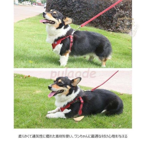 ハーネスリード リード ハーネス ２点セット 反射 胴輪 犬服 セットアップ 小型犬 ドッグウェア キャットウェア ベスト 猫服 シンプル ペット服