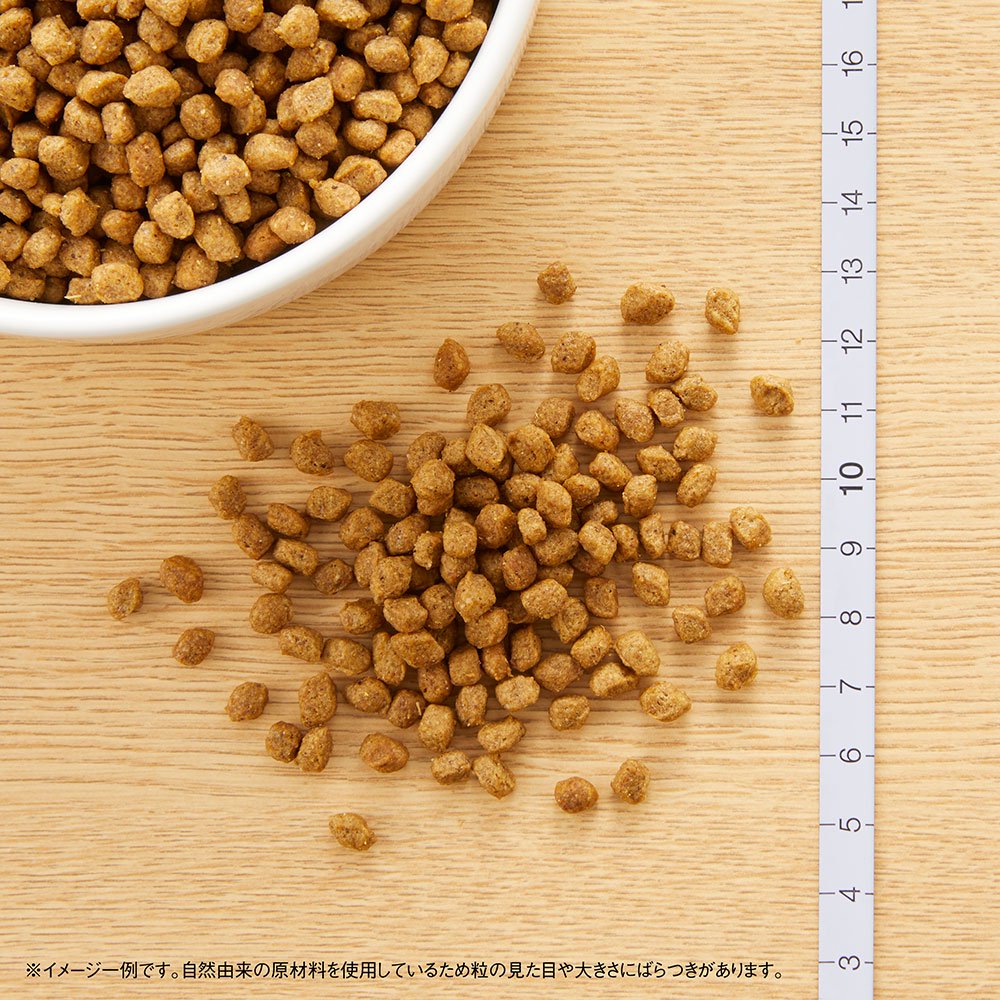 <a href="https://www.qoo10.jp/gmkt.inc/Search/brand.aspx?brandno=56178" target="_blank" class="title_brand" id="btn_brand" title="ナチュラルチョイス">ナチュラルチョイス</a>ニュートロ　超小型犬用　エイジングケア　チキン＆玄米　４ｋｇ　プレミアムチキン　お一人様５点限り　ＣＲＣ45―02―53―20―00