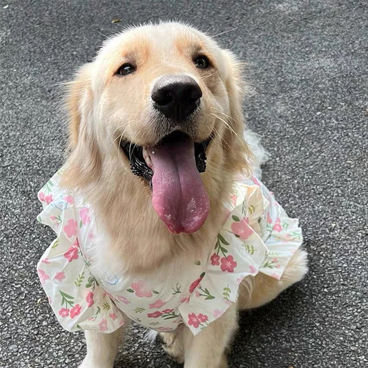 【新作犬猫服 登場】 犬服 ペット服 犬 洋服 春夏大型犬ペットベスト中型犬大型犬服