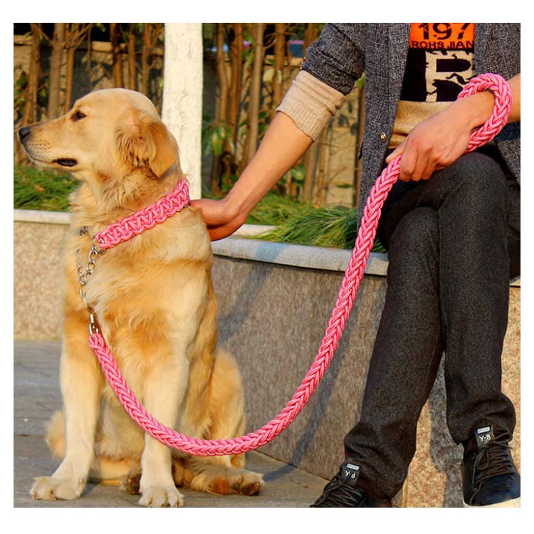 リード 首輪 2点セット 犬 首輪セット リードセット 小型犬 中型犬 大型犬 太く 頑丈 犬用リード 散歩 お出かけ しつけ ペット 極太 編み紐 噛み癖 防止 ドッググッズ ペット用 お