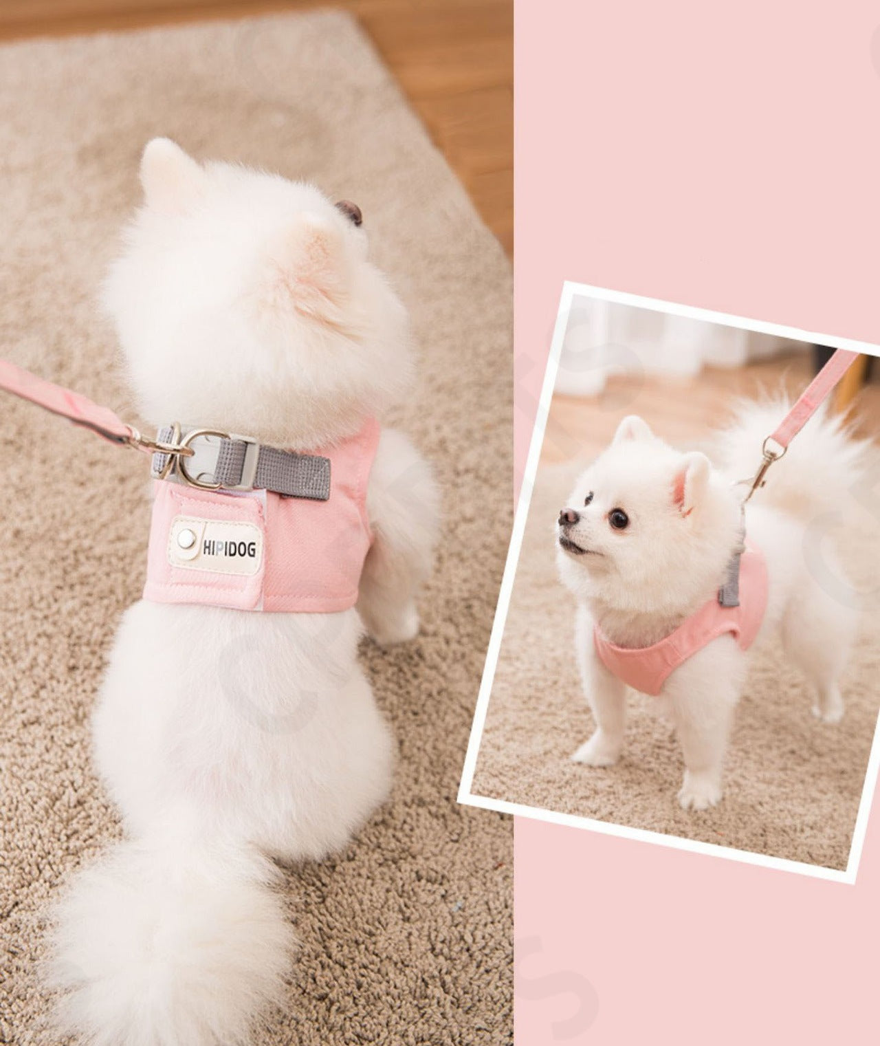 <a href="https://www.qoo10.jp/gmkt.inc/Search/brand.aspx?brandno=107992" target="_blank" class="title_brand" id="btn_brand" title="CPDDITS">CPDDITS</a>犬 猫 ハーネス リードセット ベスト ペット 胴輪 ふっくら生地 服 キャット ドッグ メッシュ